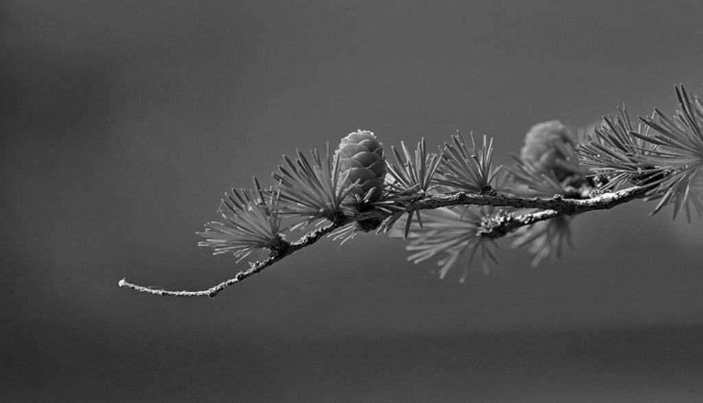 a voir Mid02 Free Img 1024x587 1