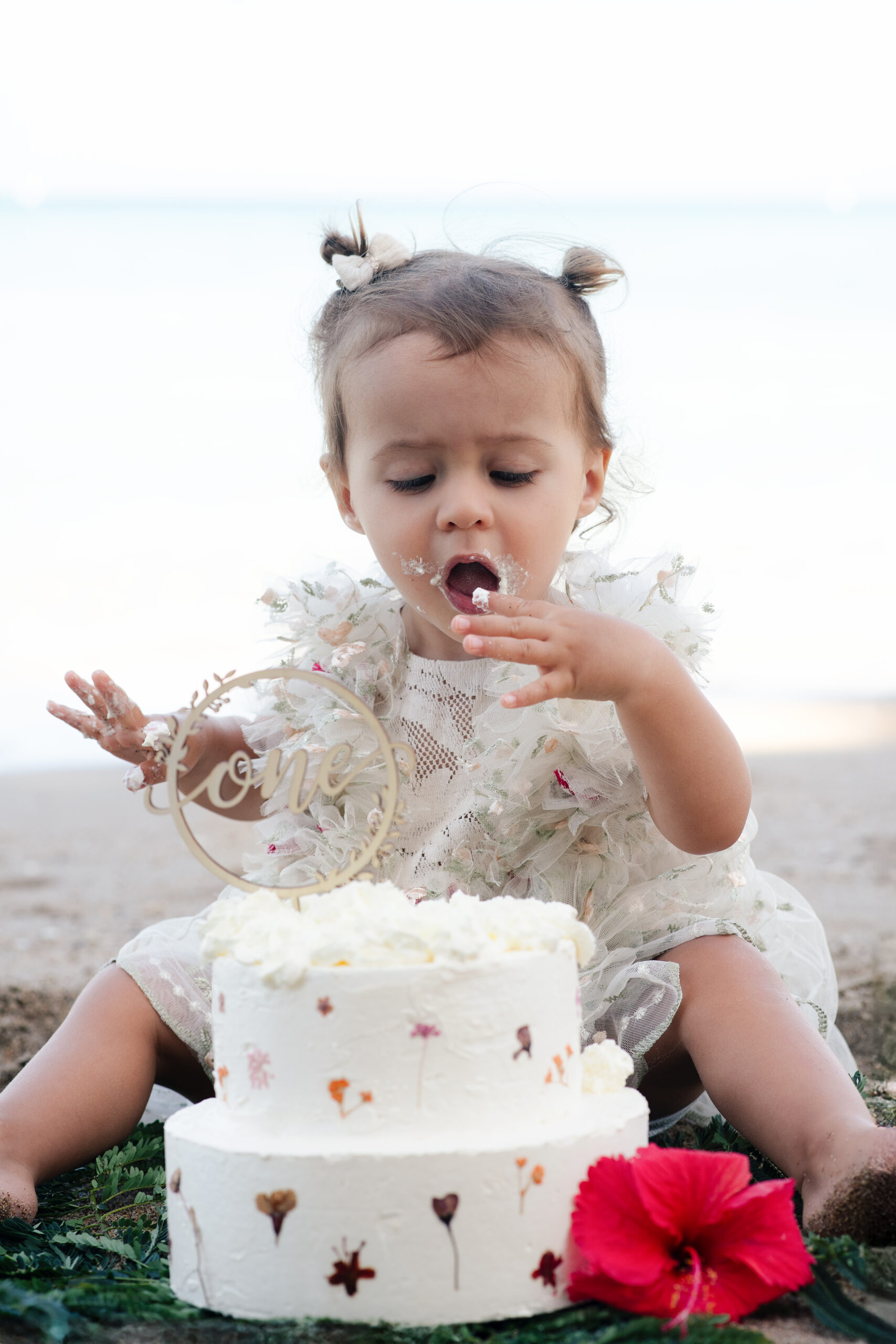 elca photographie smash the cake 8